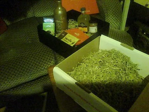 Picture0238