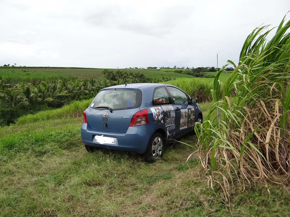 DSC08111 - Copie