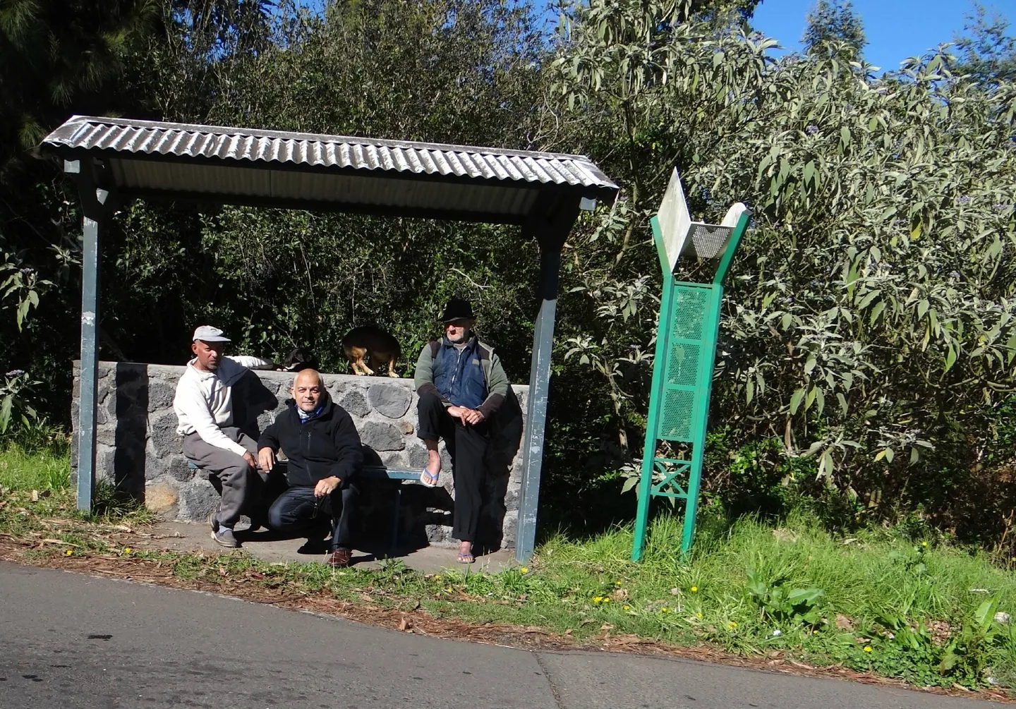 DSC01153 - Copie (2)