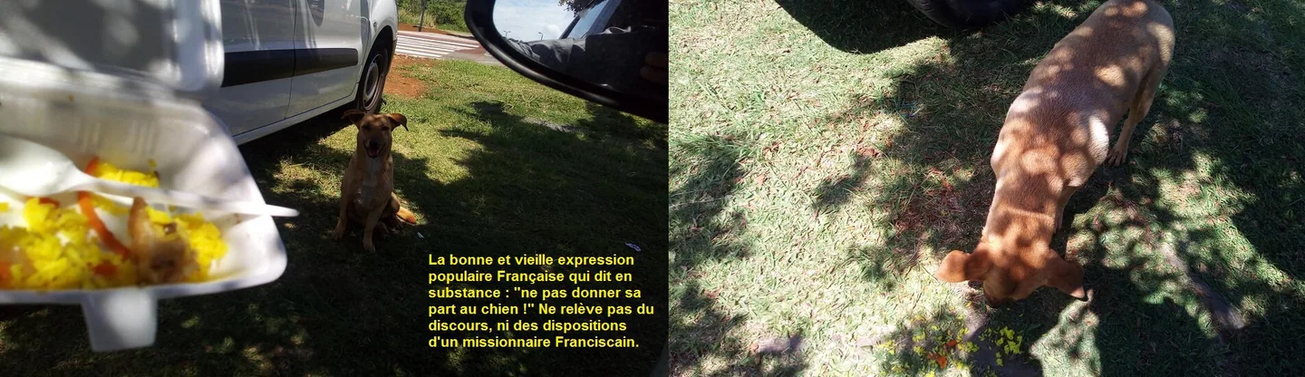 44235419_332686470868897_5815645207823122432_n - Copie