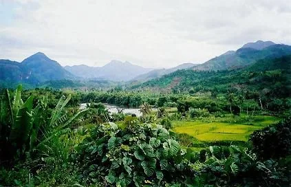 Paysage