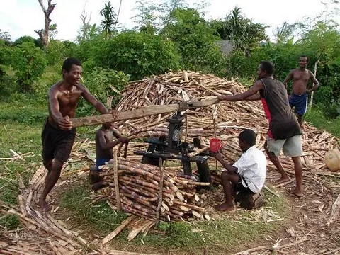 Malgaches
