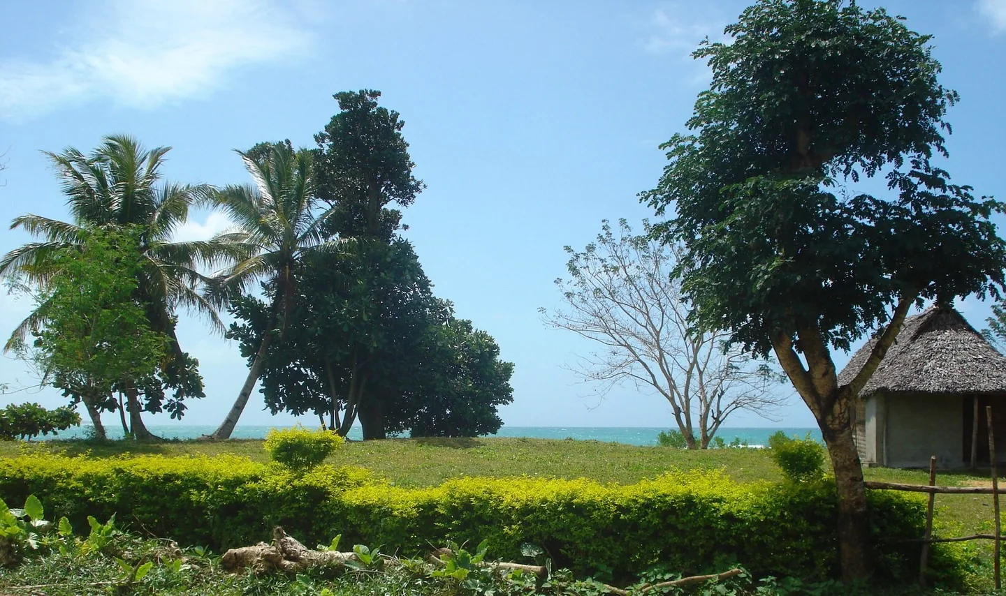 DSC04666 - Copie