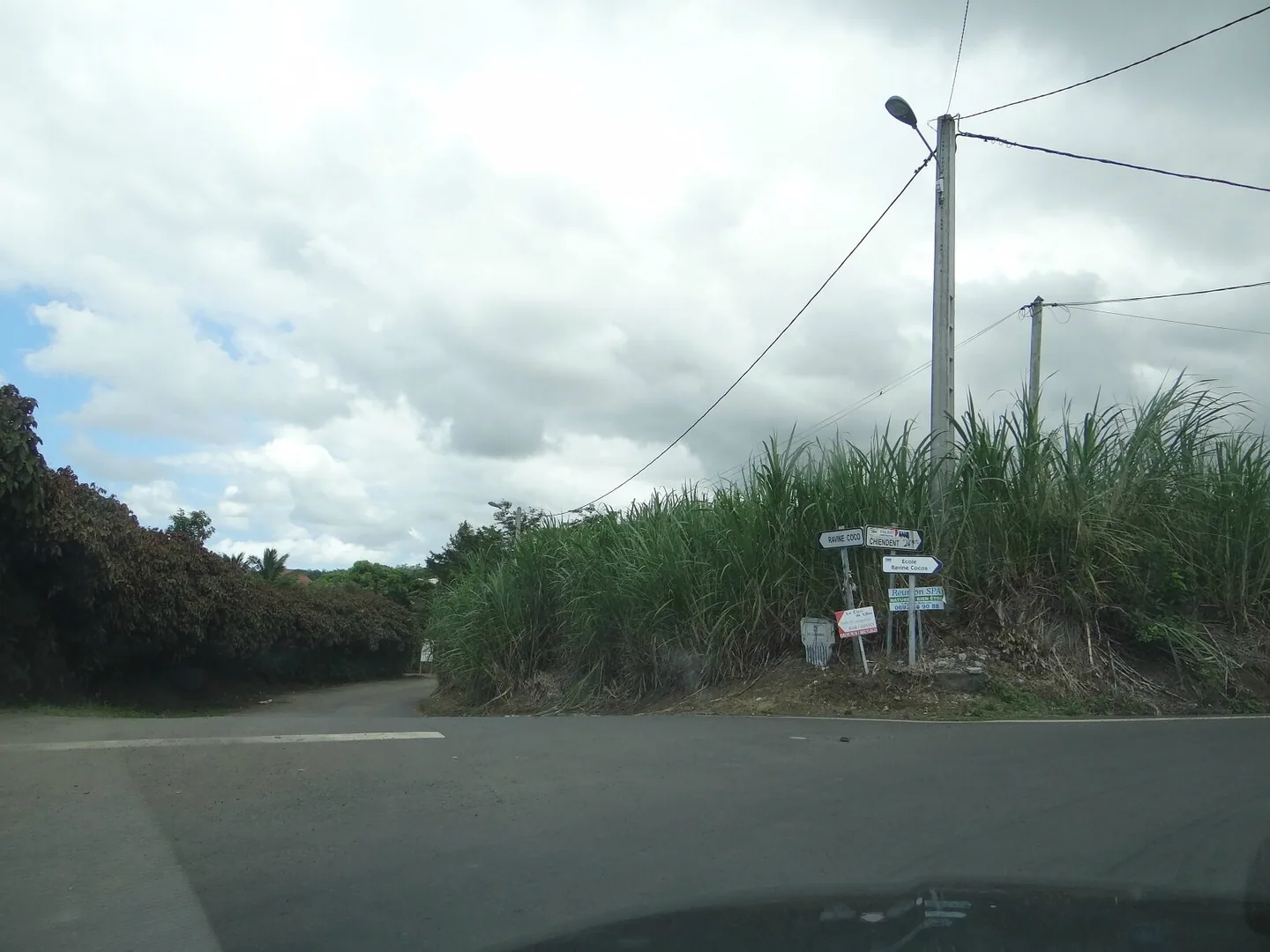 DSC00839