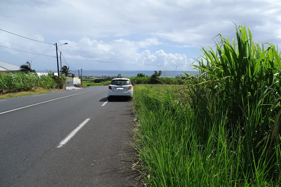 DSC02844 - Copie
