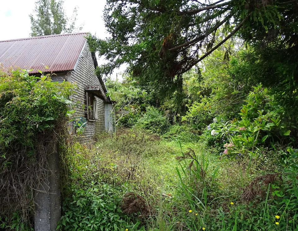 DSC02857 - Copie