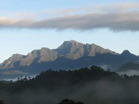 MAROJEJY_14