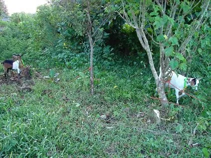DSC07459