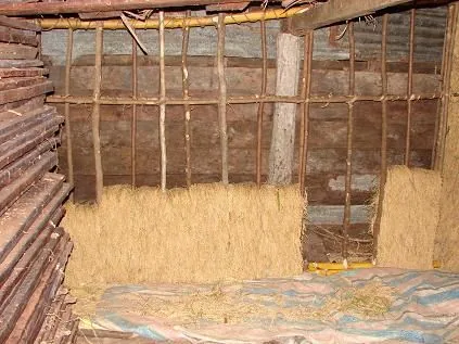DSC07468