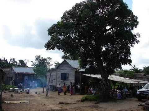 DSC09320