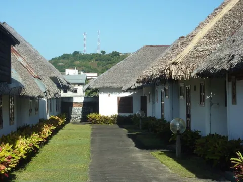 P1010423
