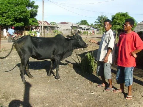 IMGP0219