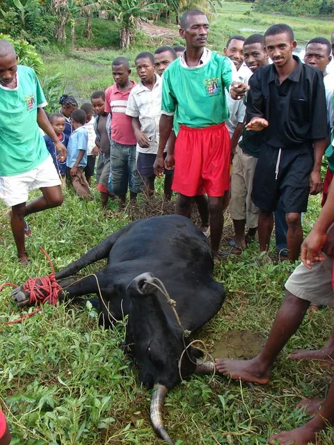 DSC02465___Copie