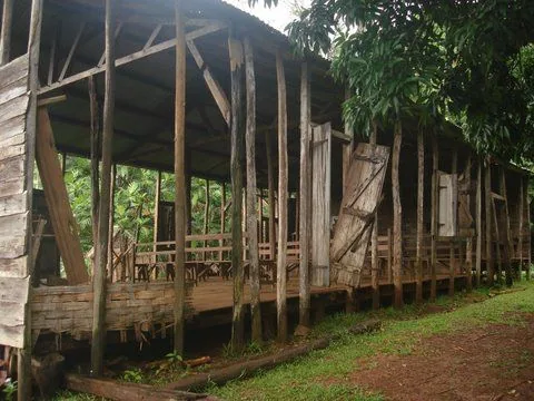 DSC03906