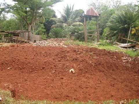 DSC04239