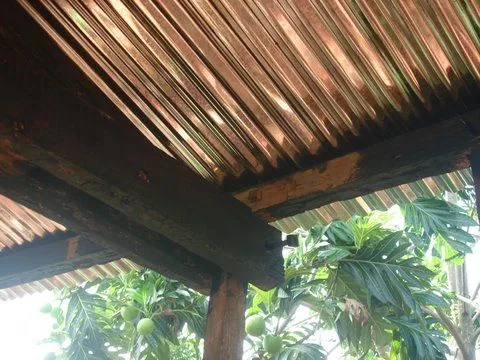 DSC04807