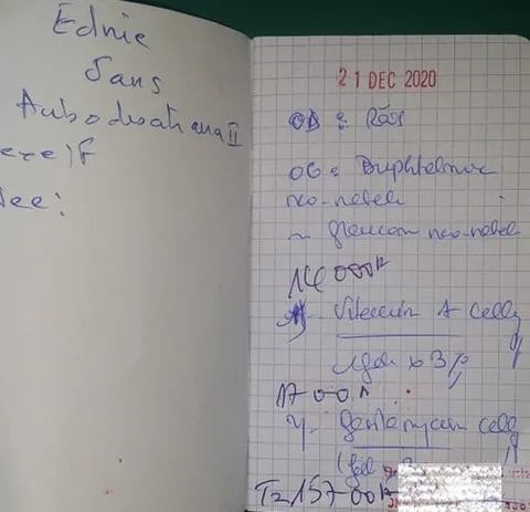 132484079_236457377936068_8723314981385385893_n - Copie