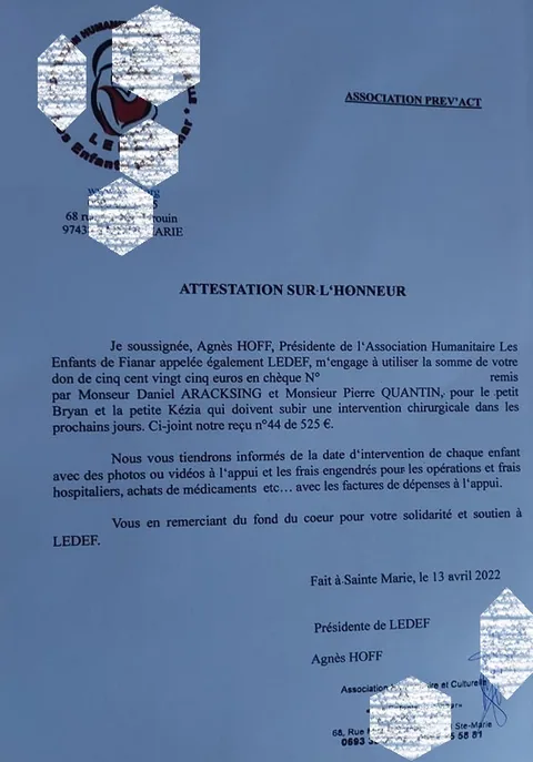 LEDEF 1 - Copie