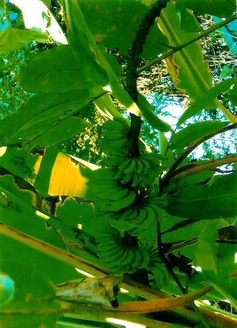 PHOTO_1_001
