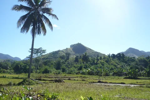 MADA_2010_170
