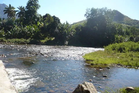 MADA_2010_172