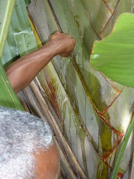 P1010474
