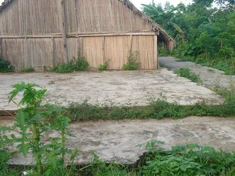 DSC03142