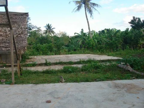 DSC03141