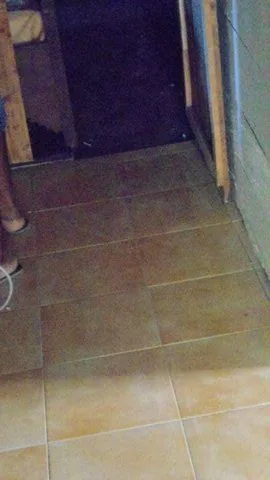 DSC00616