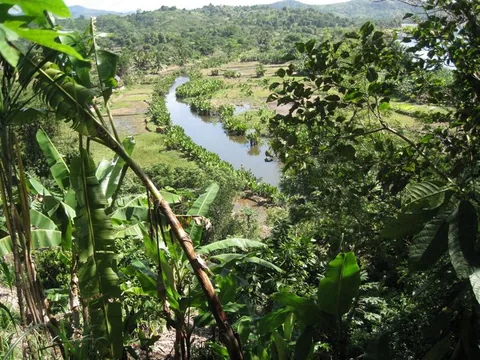 chenal_de_betsabora_circuit_pirogue