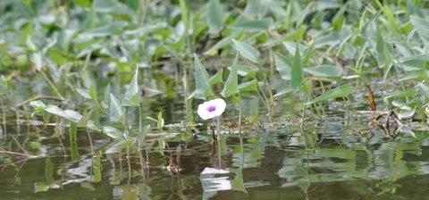 IMGP6127