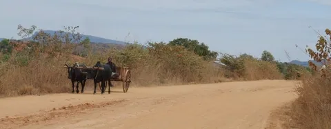 IMGP6620