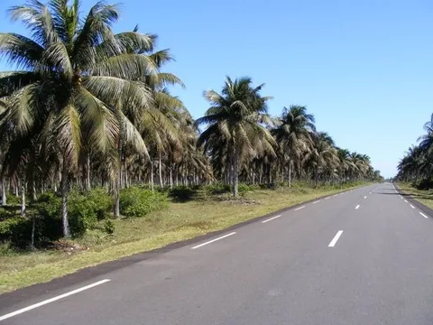 La_route_Antalaha