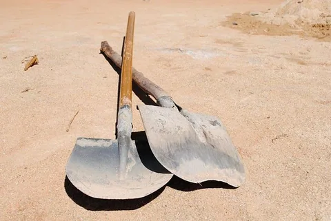 Sandra_44