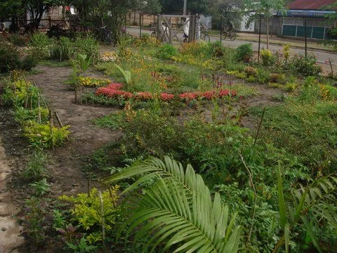 DSC03817