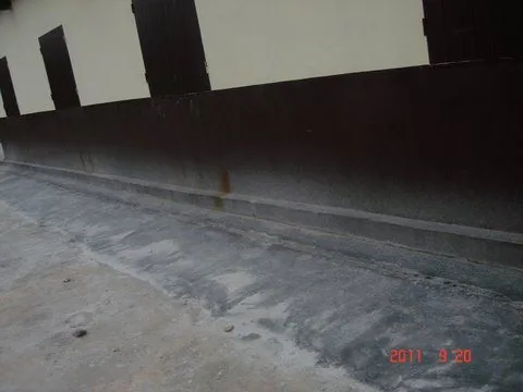 DSC03799