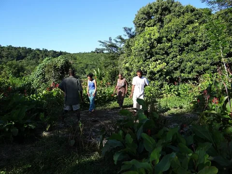 DSC02892 - Copie