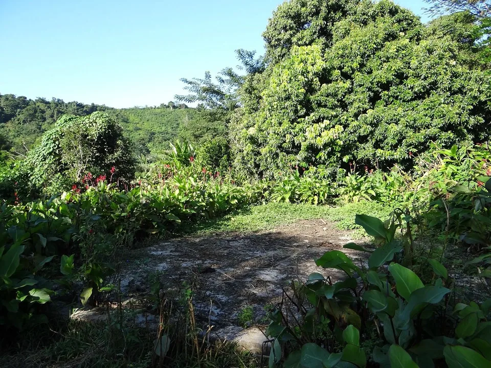 DSC02899 - Copie
