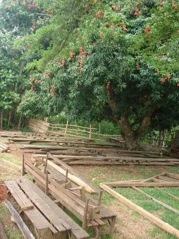 DSC04238