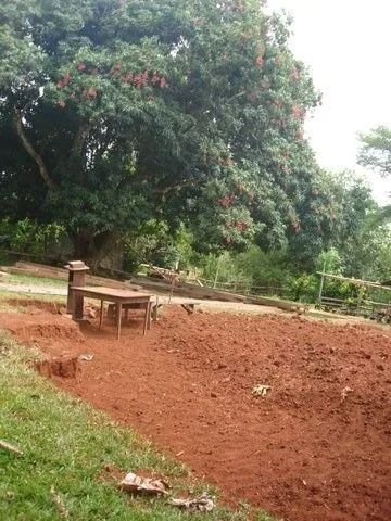 DSC04240