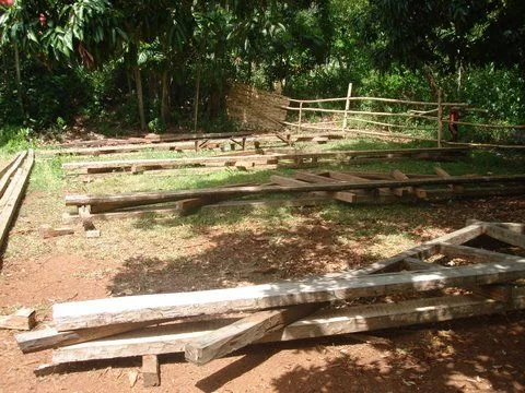 DSC04241