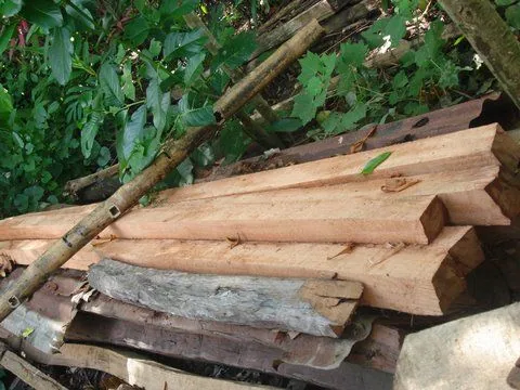 DSC04811