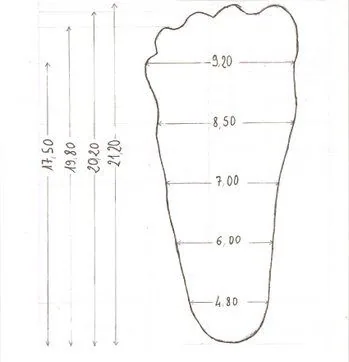 IMAGE_PIED