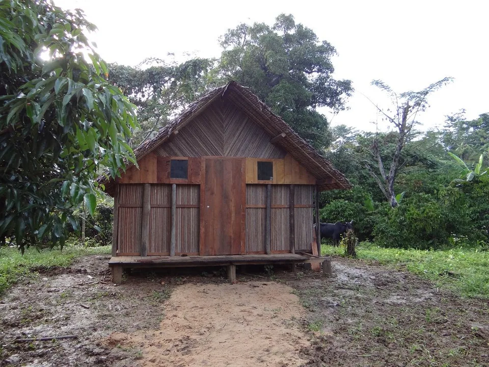 DSC03416___Copie