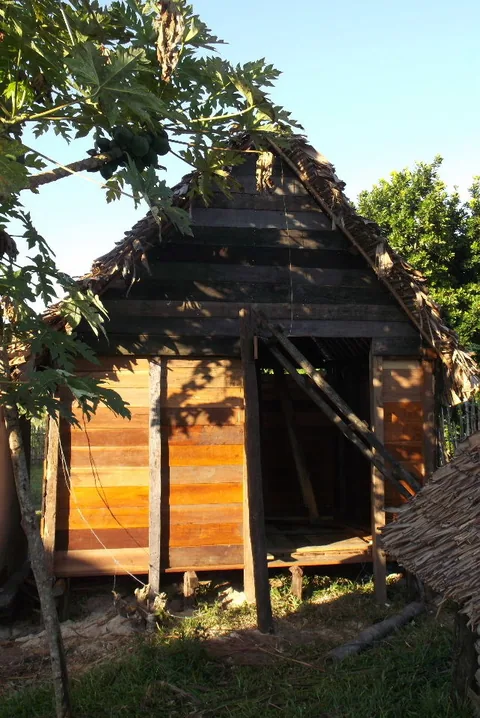 DSCF0431