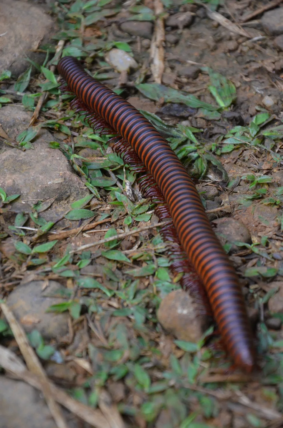 DSC_0940