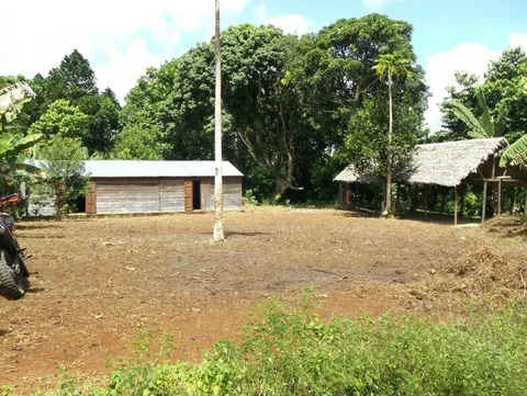 95525715