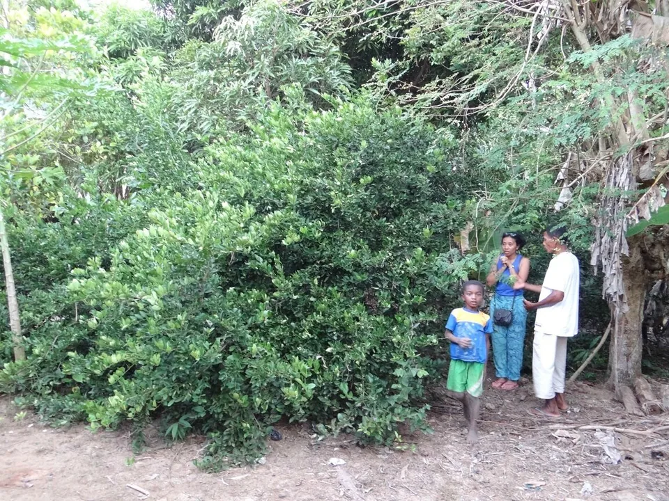 DSC02932 - Copie