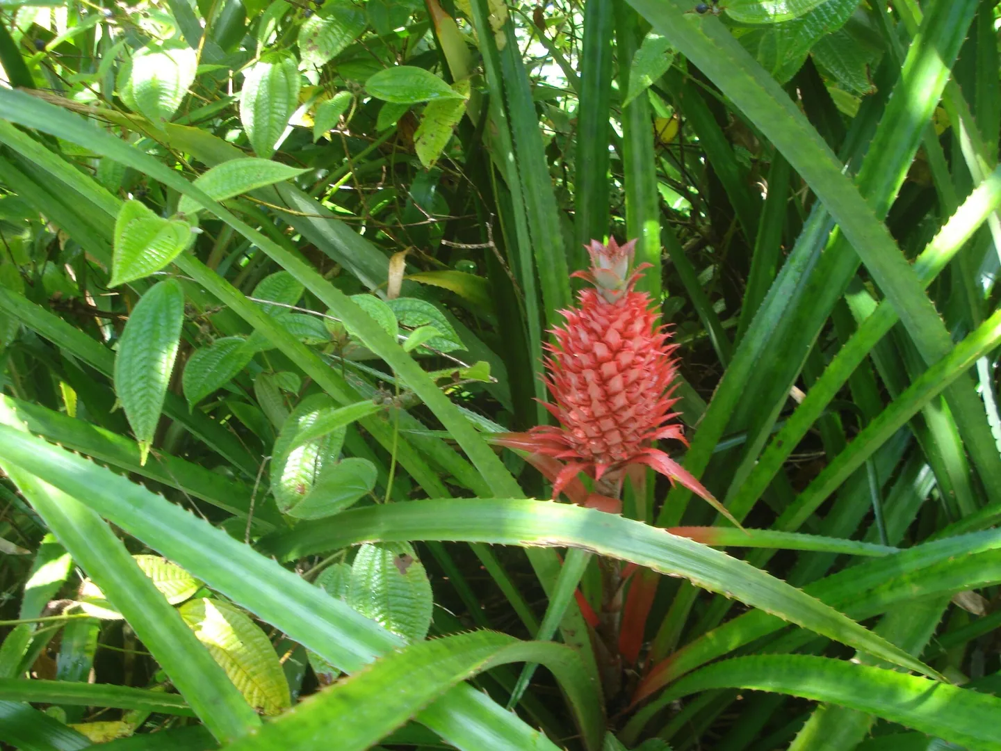 DSC04876