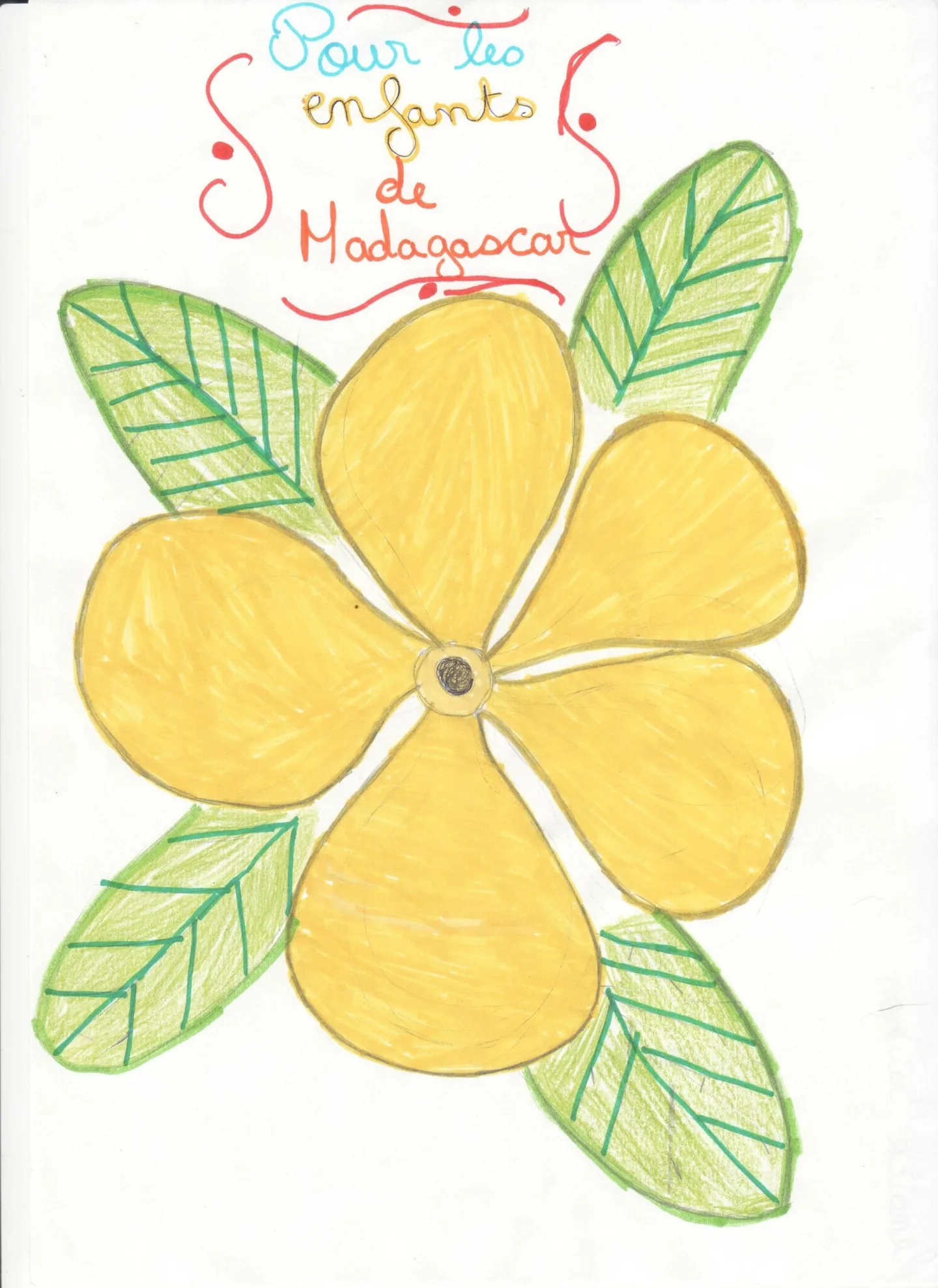 Document numérisé 4 fleur de LènaÏck